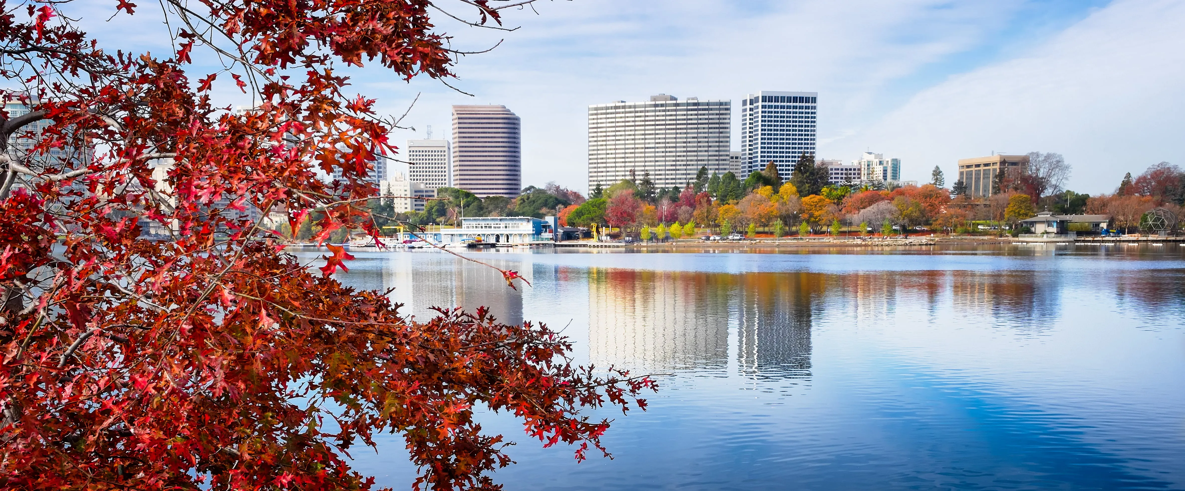 Beautiful fall day at lake Merritt in Oakland with buildings in the background